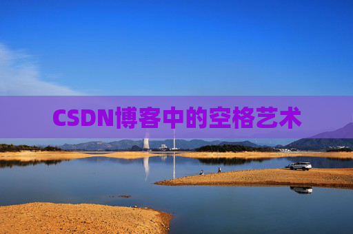 CSDN博客中的空格艺术